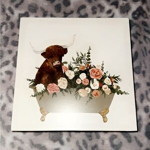 Cow pictures